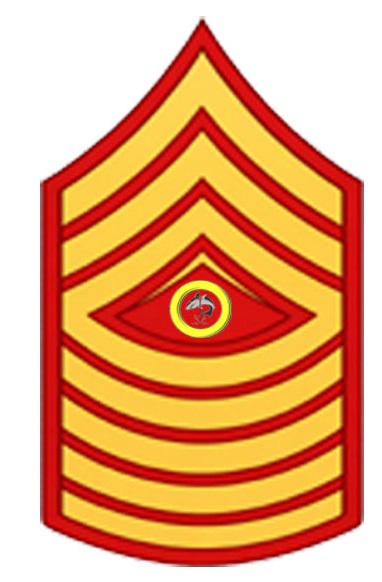 Legate James military Badge 3