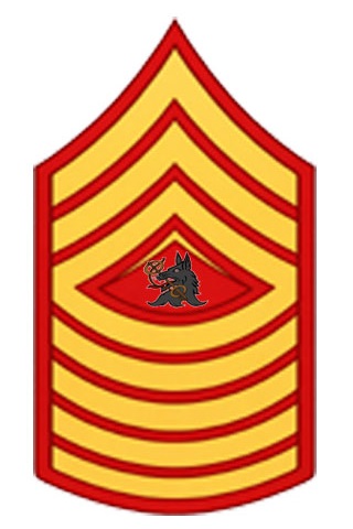 Legate James milutary Badge 1