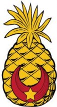 Alexander_Elder_badge