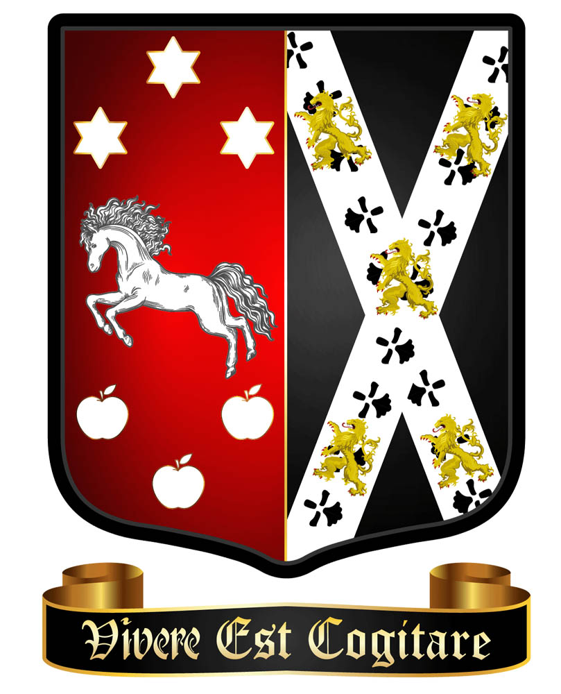 Porcelli Luca alias